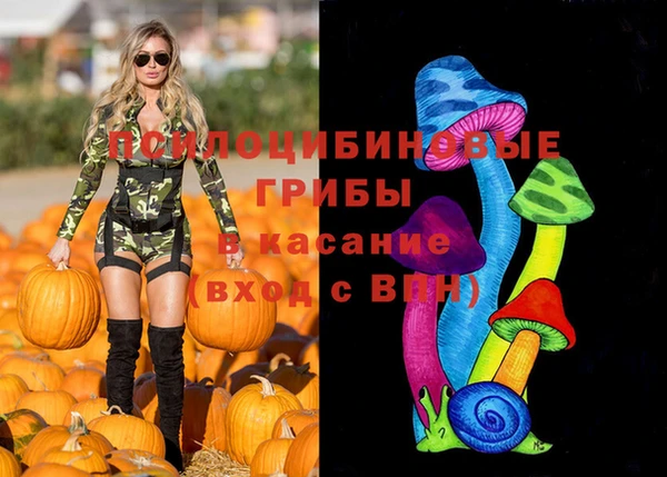 прущая мука Алзамай