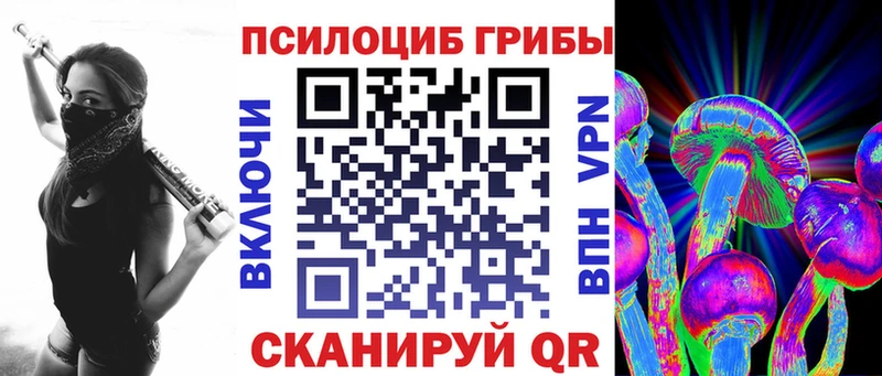 Псилоцибиновые грибы Psilocybine cubensis  Купить  Курчалой 